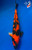 12" Hi Utsuri Koi #K32811(M22)
