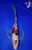 10.5" Doitsu Sanke Butterfly Koi #L3640(P1)