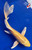 9" Yamabuki Ogon Butterfly Koi #J32817(P4)
