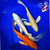 10" "3 Cheers"  Ogon Butterfly Trio Koi #K5428(X7)
