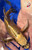 12" Matsuba Butterfly Koi #J5919(P4)