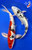 (2) 12-13" "Sisters of Stunning" Doitsu Yamato Nishiki Koi Duo #K5218(X19)