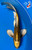 13" "Metallic" Nezu Ogon Butterfly Koi #J797(P3)
