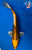 10.5" Matsuba Koi #J72540(X42)