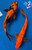 (2) 8-9" Gin Rin Koi Pair #J72535(X47)