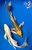 (2) 11" Matsuba Butterfly Koi Pair #J72519(X19)