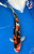 16" Doitsu Sanke Koi #J82630(S2)