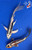 (2) 8-9" Doitsu Koi Pond Pack #J91242(X46)