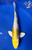 9.5" Doitsu Yamabuki Hariwake Koi #J91260(X48)