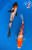 (2) 7-8" Koi Pair #J91927(X3)