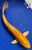 11" Yamabuki Ogon Koi #J92615(X32)