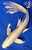 11" "Snow Queen" Gin Rin Cream Ogon Butterfly Koi #J11136(X27)