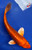 8.5" Doitsu Orenji Ogon Koi #J111418(X7)