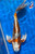 20" "Sunrise Pearl" Kujaku Butterfly Koi #J191(M20)