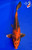 10" Kin Ki Utsuri Koi #K1921(M21)