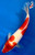 11" Goromo Koi #K11535(M23)