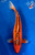 22" "Ruby" Aka Shusui Koi #J11414(M20)