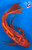 17" "Scarlet" Aka Shusui Butterfly Koi #J11415(M20)