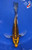 8.5" Doitsu Butterfly Koi #J11614(P11)