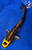 8" Doitsu Koi #J11642(P12)