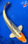 10" Kujaku Koi #J2525(P12)