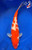 12" Kohaku Koi #J22336(X14)