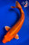 11" Kin Matsuba Koi #J31015(P5)