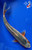 8.5" Asagi Koi #J31029(P6)