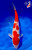 12" Kohaku Koi #K12714(M15)