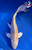 10.5" Lemon Hariwake Koi #K12735(M15)
