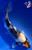 9" Showa Koi #K12756(M15)