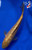 7.5" Gin Rin Chagoi Koi #J31328(X25)