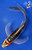 9" Beni Kumonryu Butterfly Koi #J32722(S6)