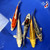 (5) 6" Koi Pond Pack #J32732(X11)