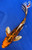 9" Hikari Utsuri Butterfly Koi #J491(S5)