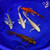 (5) 6-7" Butterfly Koi Pond Pack #L4606(X3)