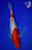 10" Doitsu Sanke Koi #L4686(X36)