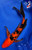 10" "Scarlett" Aka Bekko Butterfly Koi #J4938(S6)