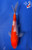 6.5" "Kai" Doitsu Kohaku Koi #J4945(P12)