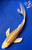 8" "Goldie" Yamabuki Ogon Butterfly Koi #J4955(P14)