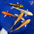 (5) 6-8" Koi "Metallic Harmony" Pond Pack #J4233(F3)