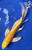 11" "Goldie" Yamabuki Ogon Butterfly Koi #J5816(Q4)