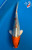 7" Kujaku Koi #K5218(X12)