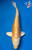 13" Doitsu Yamabuki Ogon Koi #K52311(Q7)
