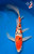12" Sanke Butterfly Koi #K52318(Q7)