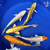 (5) 8-10" Koi "Golden Hour Collection" #J5221(X47)