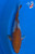 9" "Woodland Shadow" Ochiba Koi #K5302(P2)