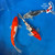 (3) 8" "Grand Slam" Koi Trio #K6610(X28)