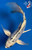 8" "Luna" Kikokuryu Butterfly Koi #J6511(P2)