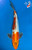 12.5" Beni Kumonryu Koi #B61420(P4)